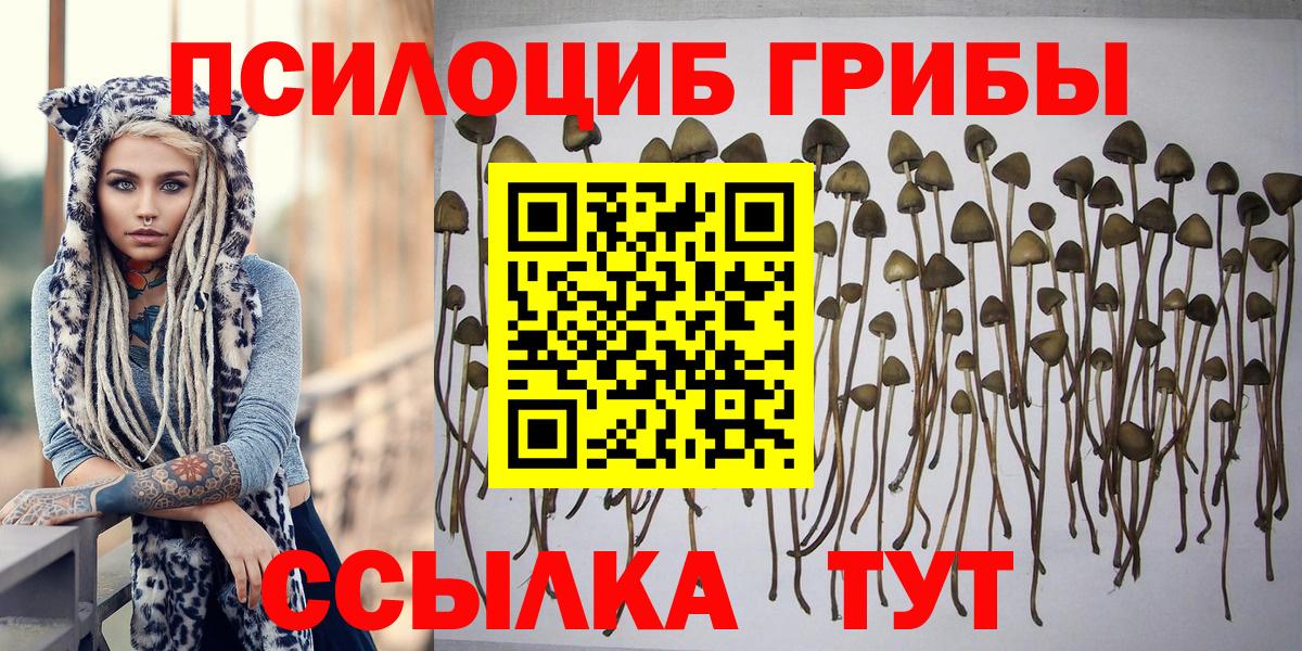 Псилоцибиновые грибы GOLDEN TEACHER Рославль