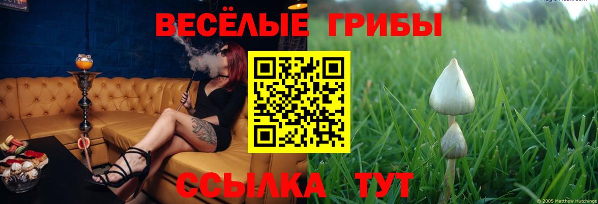 Галлюциногенные грибы MAGIC MUSHROOMS  Вход с VPN  Рославль 